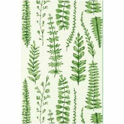 Scion Green Ferns Wallpaper