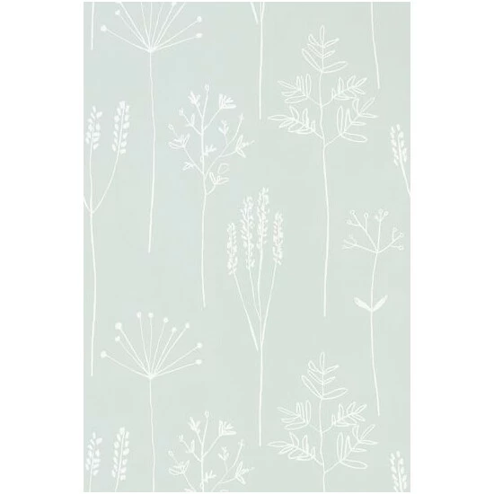 unnamed-file-302.jpg Scion Green Stipa Wallpaper Wallpaper -Scion sales unnamed file 302