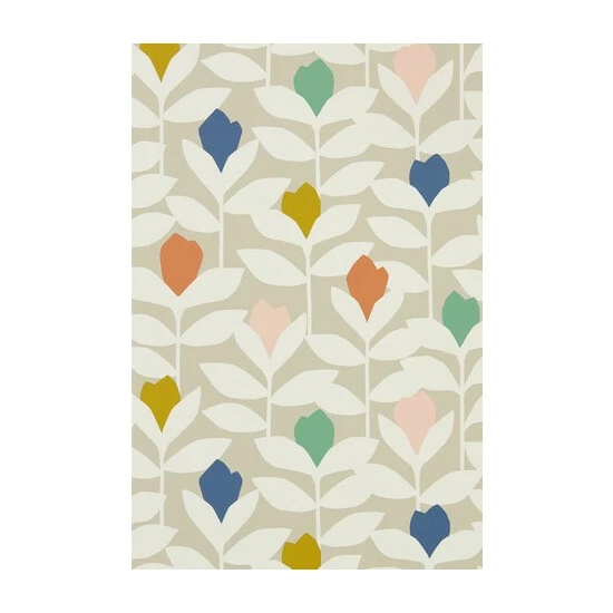 unnamed-file-42.jpg Scion Pink Padukka Tulip Wallpaper Wallpaper -Scion sales unnamed file 42